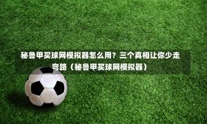 秘鲁甲买球网模拟器怎么用?三个真相让你少走弯路(秘鲁甲买球网模拟器)-第1张图片
