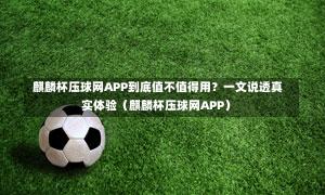  麒麟杯压球网APP到底值不值得用？一文说透真实体验（麒麟杯压球网APP）