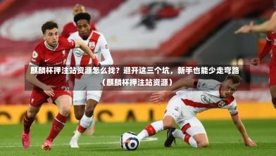  麒麟杯押注站资源怎么找？避开这三个坑，新手也能少走弯路（麒麟杯押注站资源）
