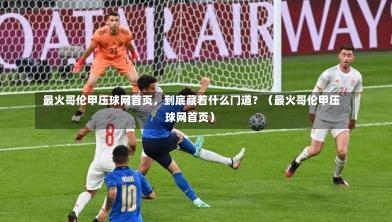  最火哥伦甲压球网首页，到底藏着什么门道？（最火哥伦甲压球网首页）