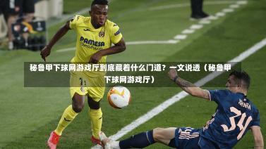 秘鲁甲下球网游戏厅到底藏着什么门道?一文说透(秘鲁甲下球网游戏厅)-第1张图片
