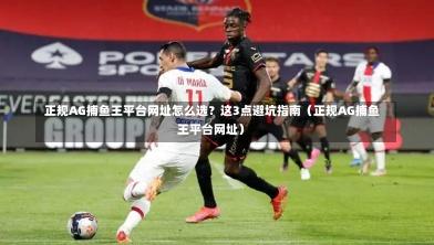  正规AG捕鱼王平台网址怎么选？这3点避坑指南（正规AG捕鱼王平台网址）