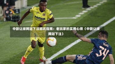 中欧让球网站下注避坑指南:老玩家的实用心得(中欧让球网站下注)-第1张图片