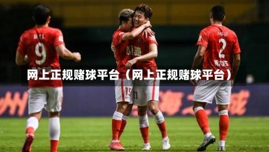 网上正规赌球平台（网上正规赌球平台）
