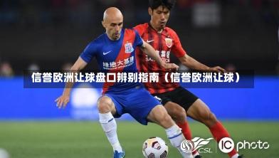信誉欧洲让球盘口辨别指南(信誉欧洲让球)-第1张图片