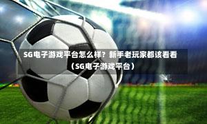  SG电子游戏平台怎么样？新手老玩家都该看看（SG电子游戏平台）