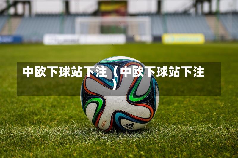 中欧下球站下注(中欧下球站下注)-第1张图片