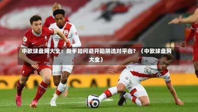  中欧球盘网大全：新手如何避开陷阱选对平台？（中欧球盘网大全）