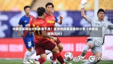 中欧压球网比分到底准不准?老球迷的真实体验分享(中欧压球网比分)-第1张图片