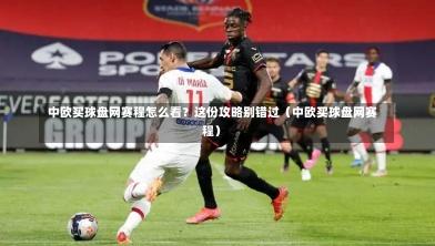 中欧买球盘网赛程怎么看?这份攻略别错过(中欧买球盘网赛程)-第1张图片