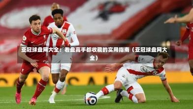  亚冠球盘网大全：看盘高手都收藏的实用指南（亚冠球盘网大全）